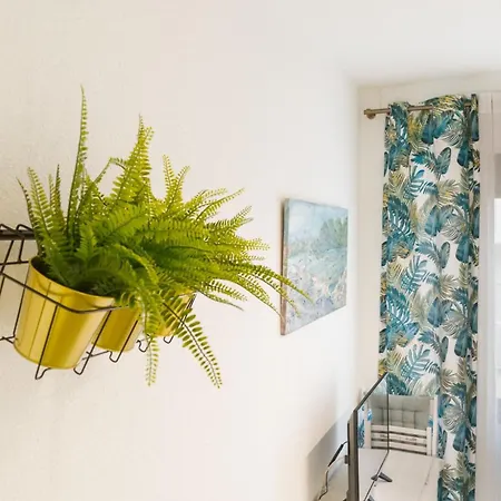 Comfortable And Functional In Triana *