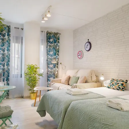 Comfortable And Functional In Triana *