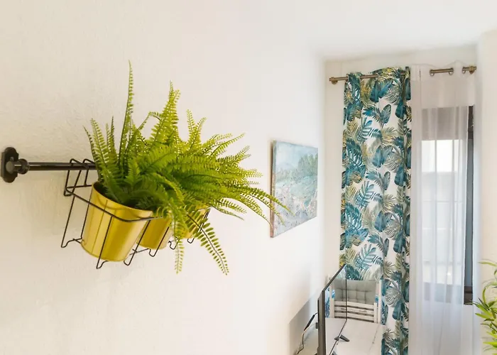 Comfortable And Functional In Triana *